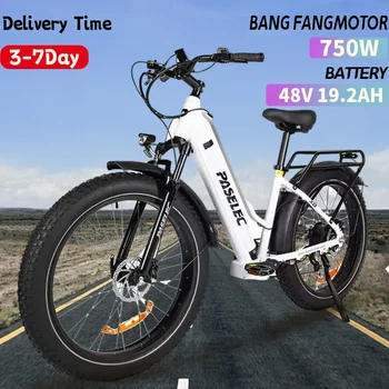 Bafang-bicicleta Eléctrica Urbana Para Adulto, Ebike Para La Playa, Con Batería De 48V 19,2 Ah, 26x4,0 
